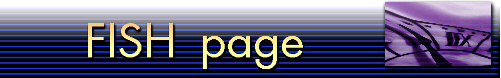 softw_banner.jpg (5347 bytes)